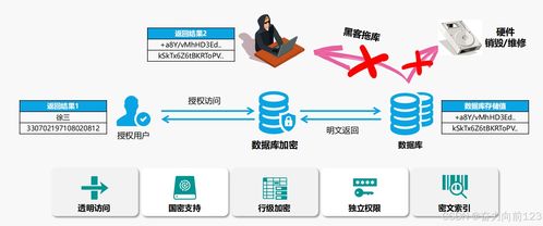 構建安全與治理并重的Java系統數據支持服務體系